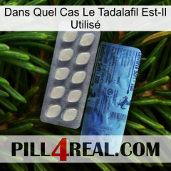 Dans Quel Cas Le Tadalafil Est-Il Utilisé 34